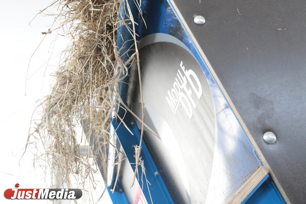 «На одного французского козла - 25 козочек». JustMedia побывал на екатеринбургской ферме. ФОТО. ВИДЕО - Фото 8