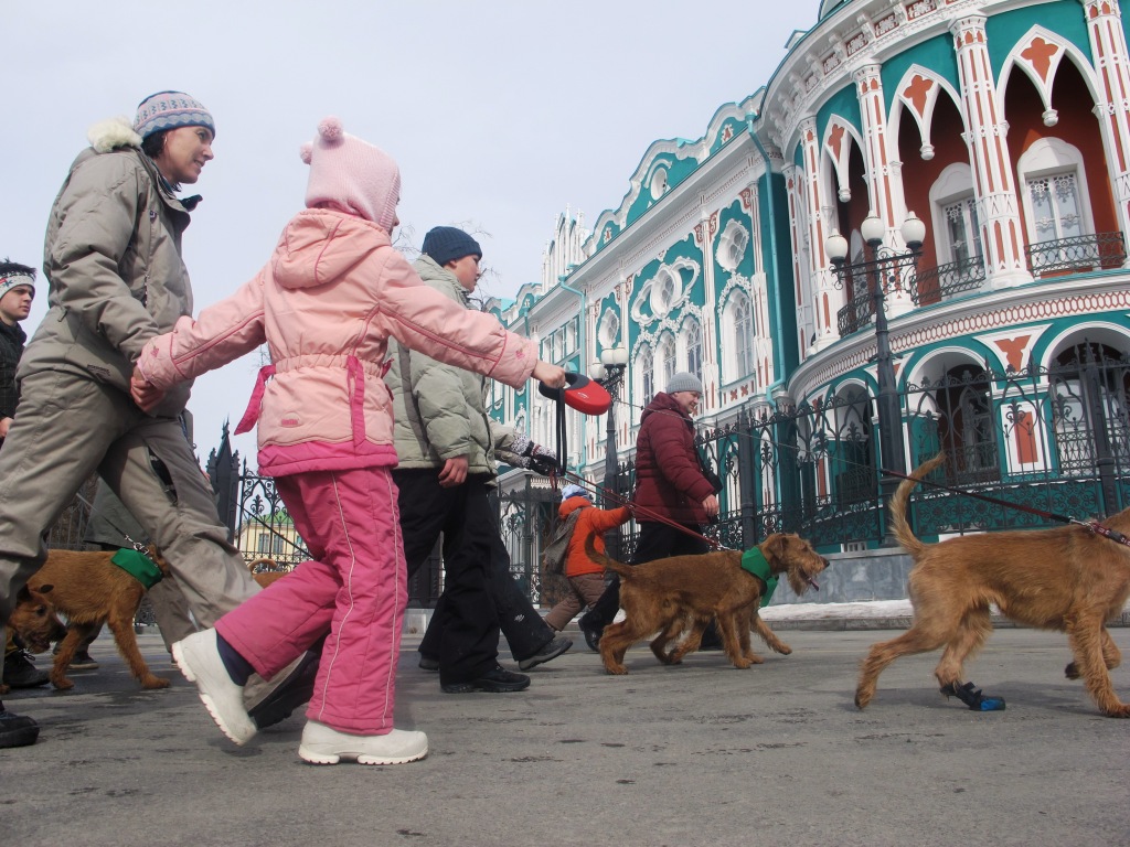 Парад в честь Дня Святого Патрика состоялся в Екатеринбурге - Фото 5