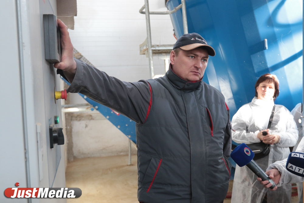 «На одного французского козла - 25 козочек». JustMedia побывал на екатеринбургской ферме. ФОТО. ВИДЕО - Фото 7