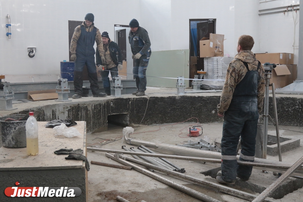 «На одного французского козла - 25 козочек». JustMedia побывал на екатеринбургской ферме. ФОТО. ВИДЕО - Фото 10