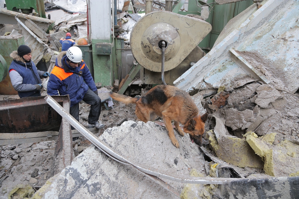 Из-под завалов ЗиКа спасены 14 человек. Все они госпитализированы. ФОТО - Фото 6