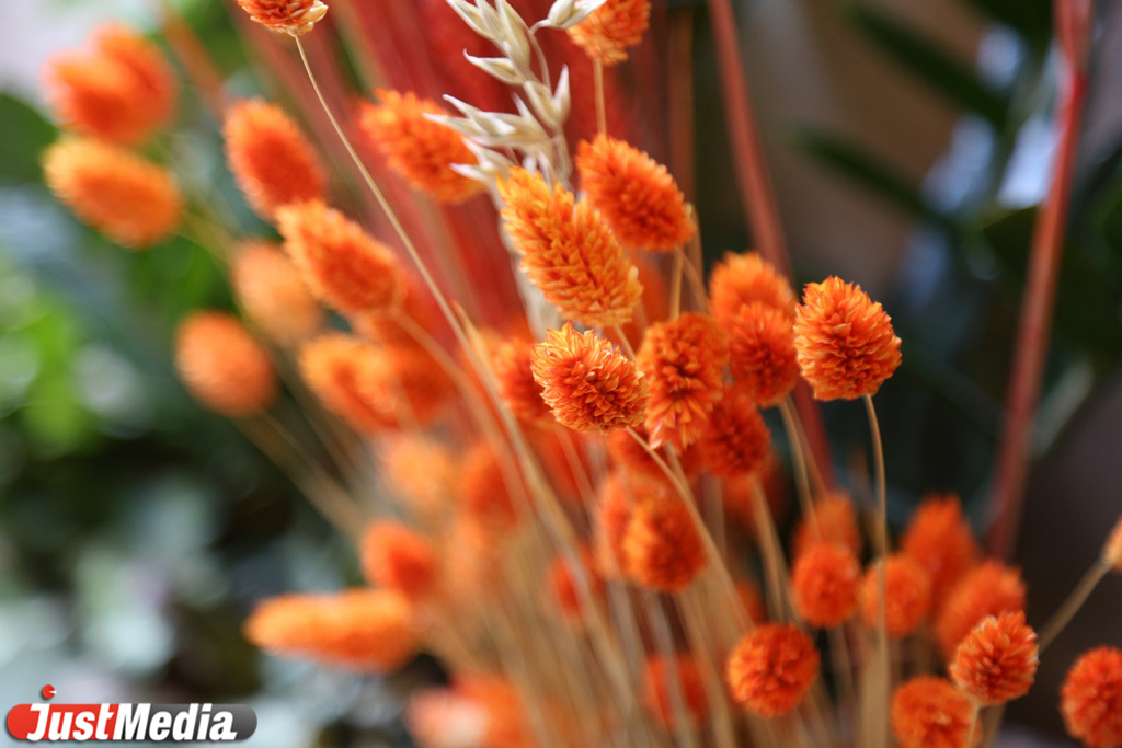 В горшках, с воздушными шариками и глобусами: JustMedia.ru выяснил, с какими букетами екатеринбуржцы делают селфи на 1 сентября и сколько это стоит - Фото 7