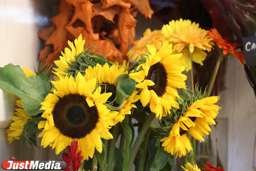 В горшках, с воздушными шариками и глобусами: JustMedia.ru выяснил, с какими букетами екатеринбуржцы делают селфи на 1 сентября и сколько это стоит - Фото 12