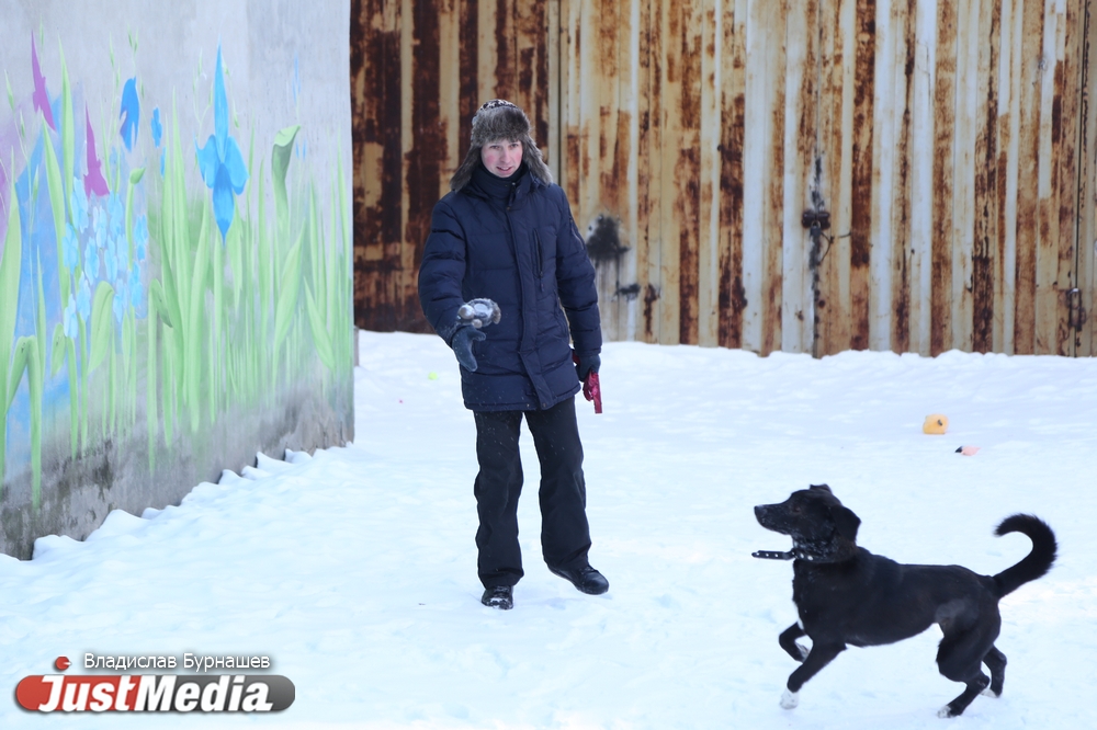 В Екатеринбурге устраивают тест-драйв бездомных собак, чтобы спасти им жизнь. СПЕЦПРОЕКТ - Фото 13