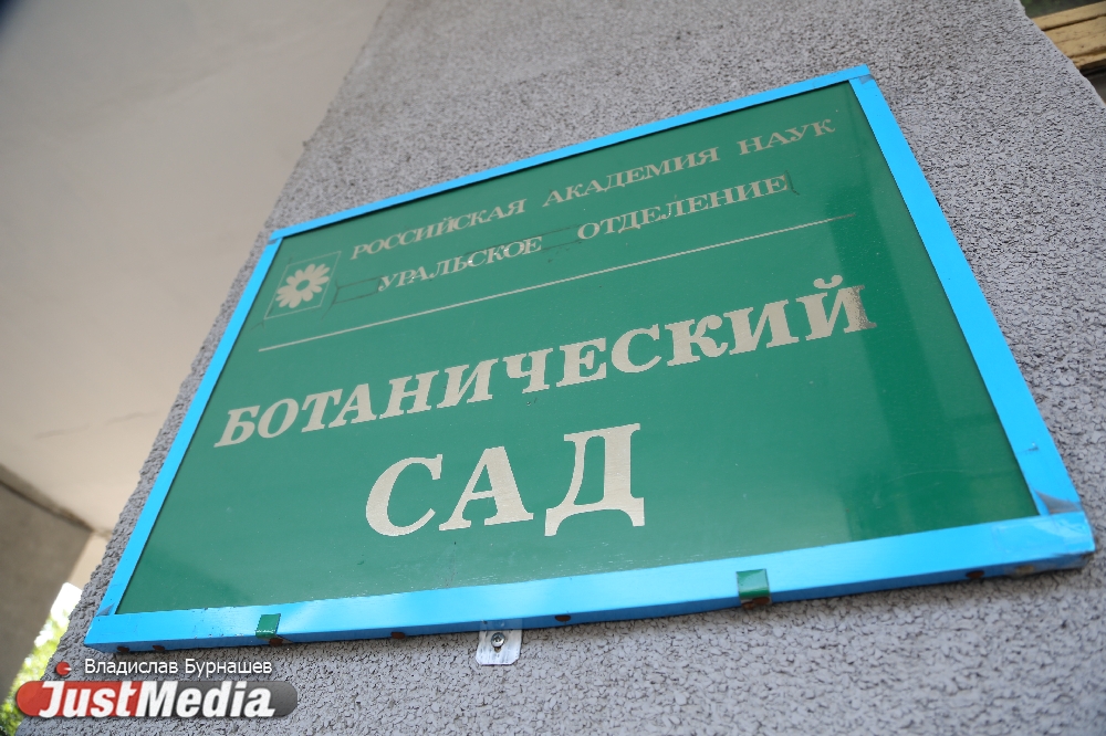 Растения-убийцы, «сказочные» цветы и плоды со вкусом битого стекла: JustMedia совершил ботаническую «кругосветку» в Екатеринбурге  - Фото 25
