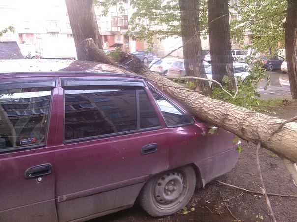 В центре Екатеринбурга дерево рухнуло на летнюю веранду кафе - Фото 6