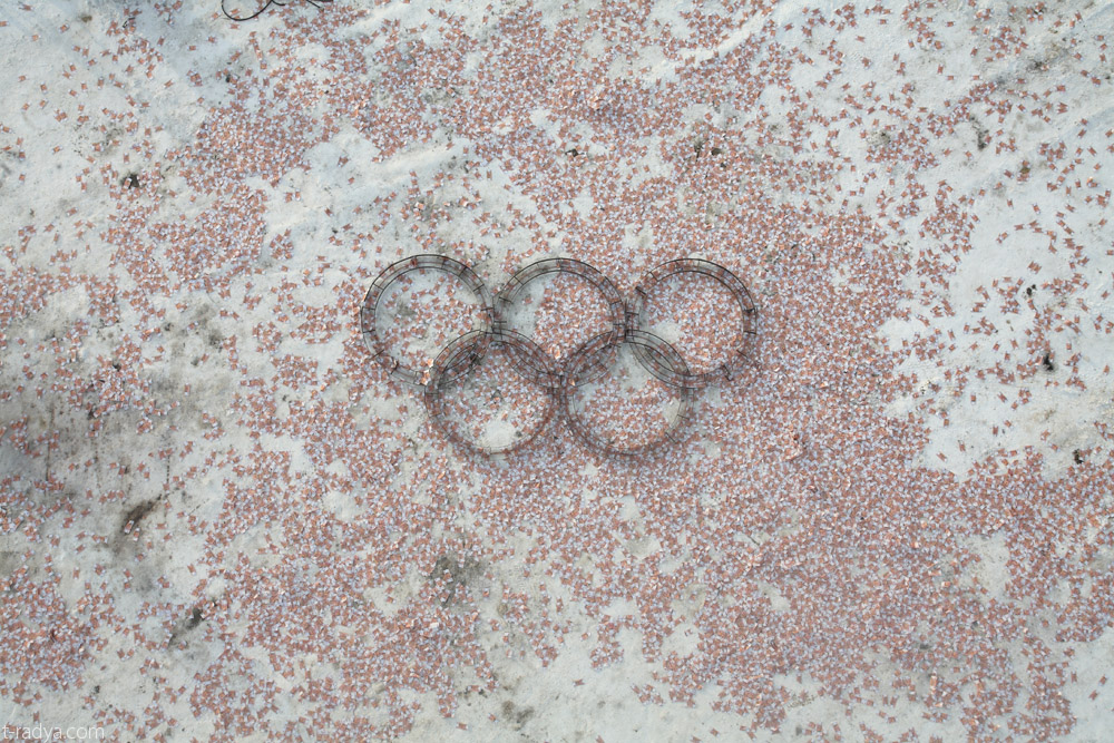 Известный уральский художник Тимофей Радя претендует на премию Кандинского - Фото 5