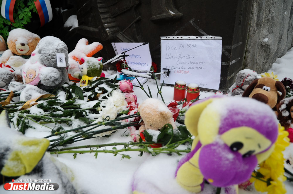 Среди погибших в авиакатастрофе над Синайским полуостровом - жительницы Тюменской области и Перми - Фото 5