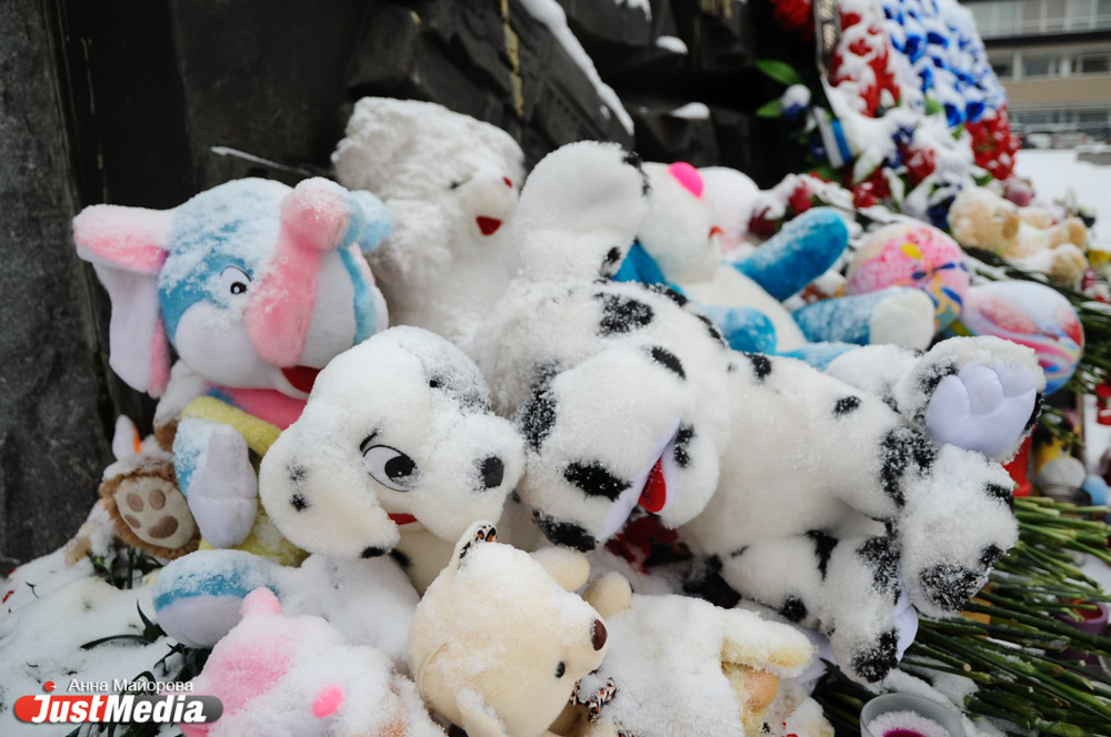 Среди погибших в авиакатастрофе над Синайским полуостровом - жительницы Тюменской области и Перми - Фото 7