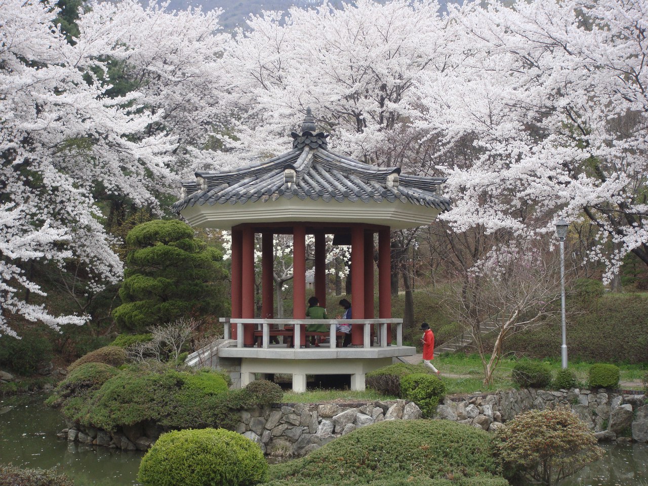 Корейский вуз — это место, где можно «накатить» с профессором и отдохнуть от школы. Как жилось уральским студентам в стране утренней свежести. СПЕЦПРОЕКТ - Фото 19