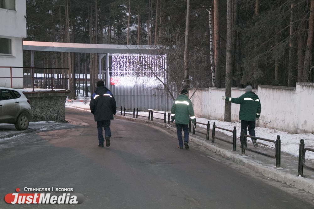 «Сердца совсем нет, что ли? Нелюди!»: как в день защиты домашних животных «Спецавтобаза» «подстрелила» ухоженную собаку с ошейником - Фото 4