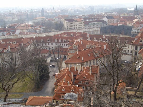 «Нас недолюбливают, но меньше, чем украинцев». Как уральские студенты выживают за границей. СПЕЦПРОЕКТ - Фото 5