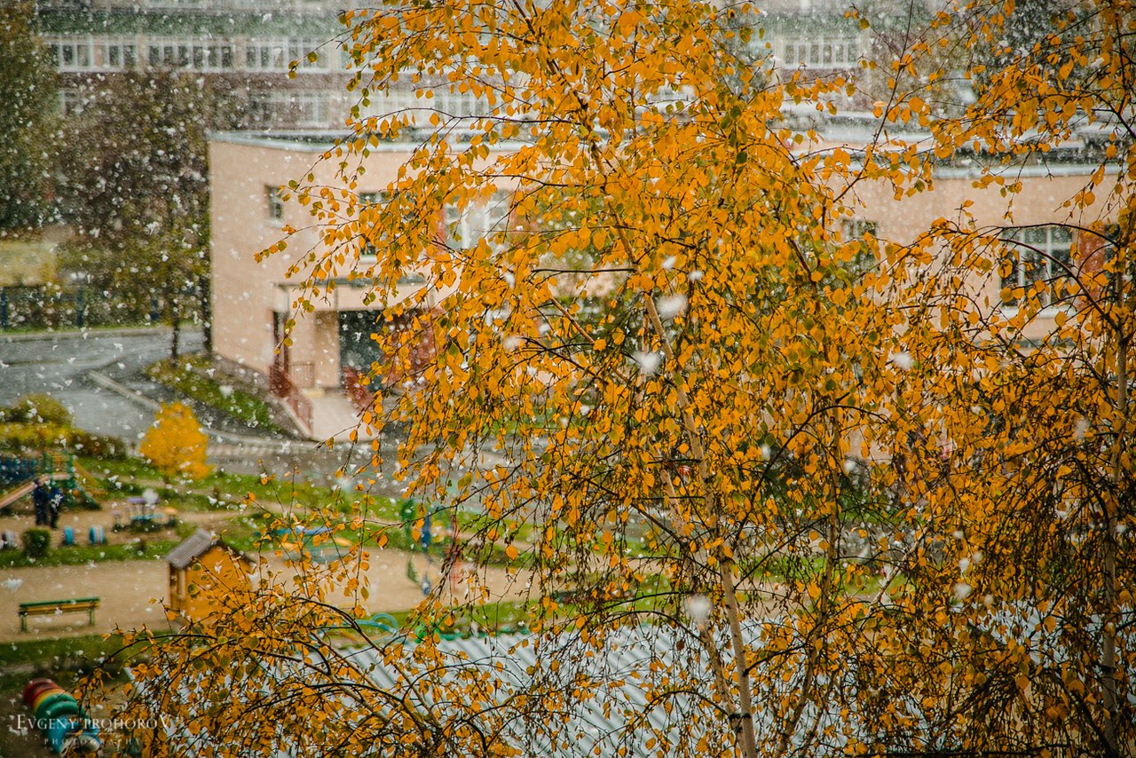 «Пап, фоткай скорее, он заканчивается!». В Екатеринбурге прошел первый снег - Фото 8