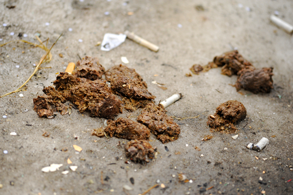 И это все …овно! Весна обнажила одну из самых неприглядных проблем Екатеринбурга - Фото 5