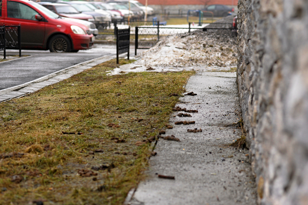 И это все …овно! Весна обнажила одну из самых неприглядных проблем Екатеринбурга - Фото 11