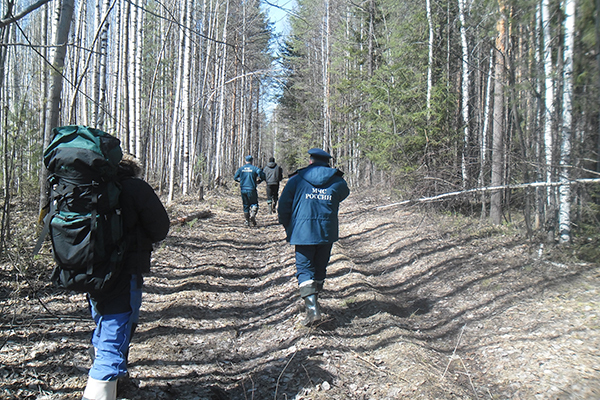 Останки, обнаруженные на месте падения Ан-2, направлены в Екатеринбург для проведения судебно-медицинской экспертизы - Фото 2