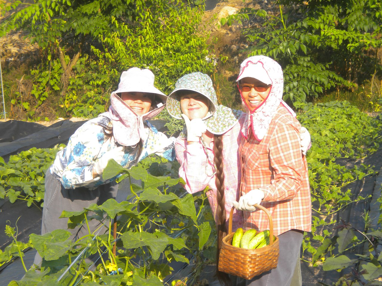 Корейский вуз — это место, где можно «накатить» с профессором и отдохнуть от школы. Как жилось уральским студентам в стране утренней свежести. СПЕЦПРОЕКТ - Фото 21