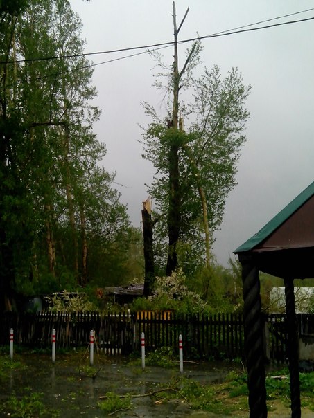 В центре Екатеринбурга дерево рухнуло на летнюю веранду кафе - Фото 7