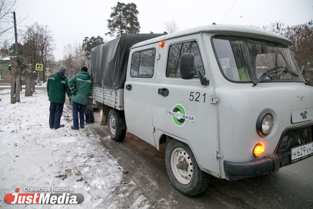 «Сердца совсем нет, что ли? Нелюди!»: как в день защиты домашних животных «Спецавтобаза» «подстрелила» ухоженную собаку с ошейником - Фото 2
