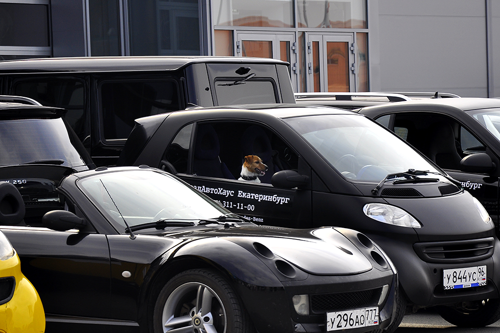 По центру Екатеринбурга проехали самые маленькие в мире автомобили  - Фото 2