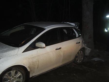 В Екатеринбурге пьяный водитель иномарки врезался в дерево - Фото 2