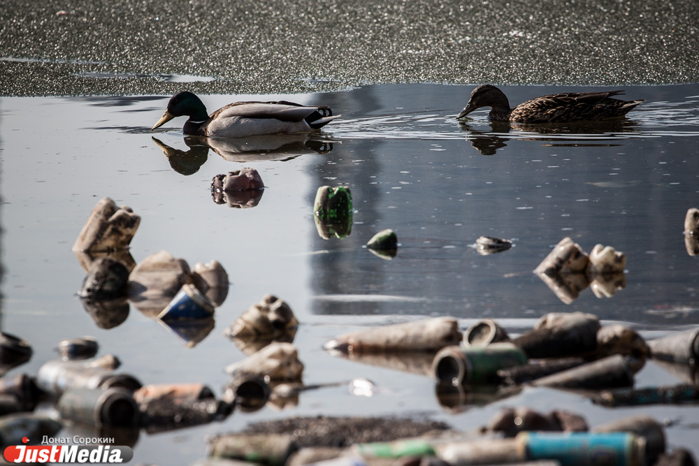 Гранатовый браслет и детский стульчик! А еще на дне городского пруда можно найти ржавые трубы, бетонные урны и пивные бутылки без счета - Фото 5