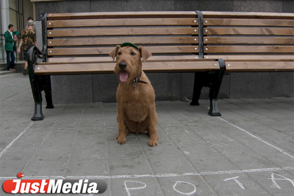 На фестивале GreenWay люди-шахматы, мафиози и собаки боролись за победу - Фото 3
