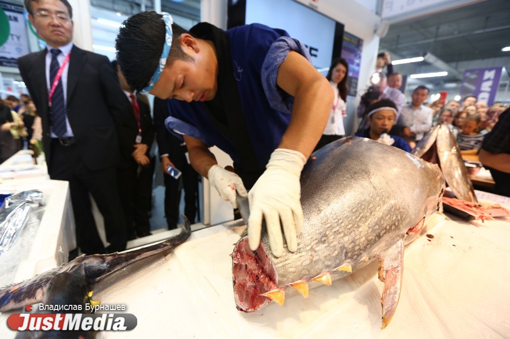 «Это лучшая часть промышленной выставки». Посетители ИННОПРОМа съели тунца весом 73 кг, искуственно выращенного в Японии. ФОТО - Фото 4