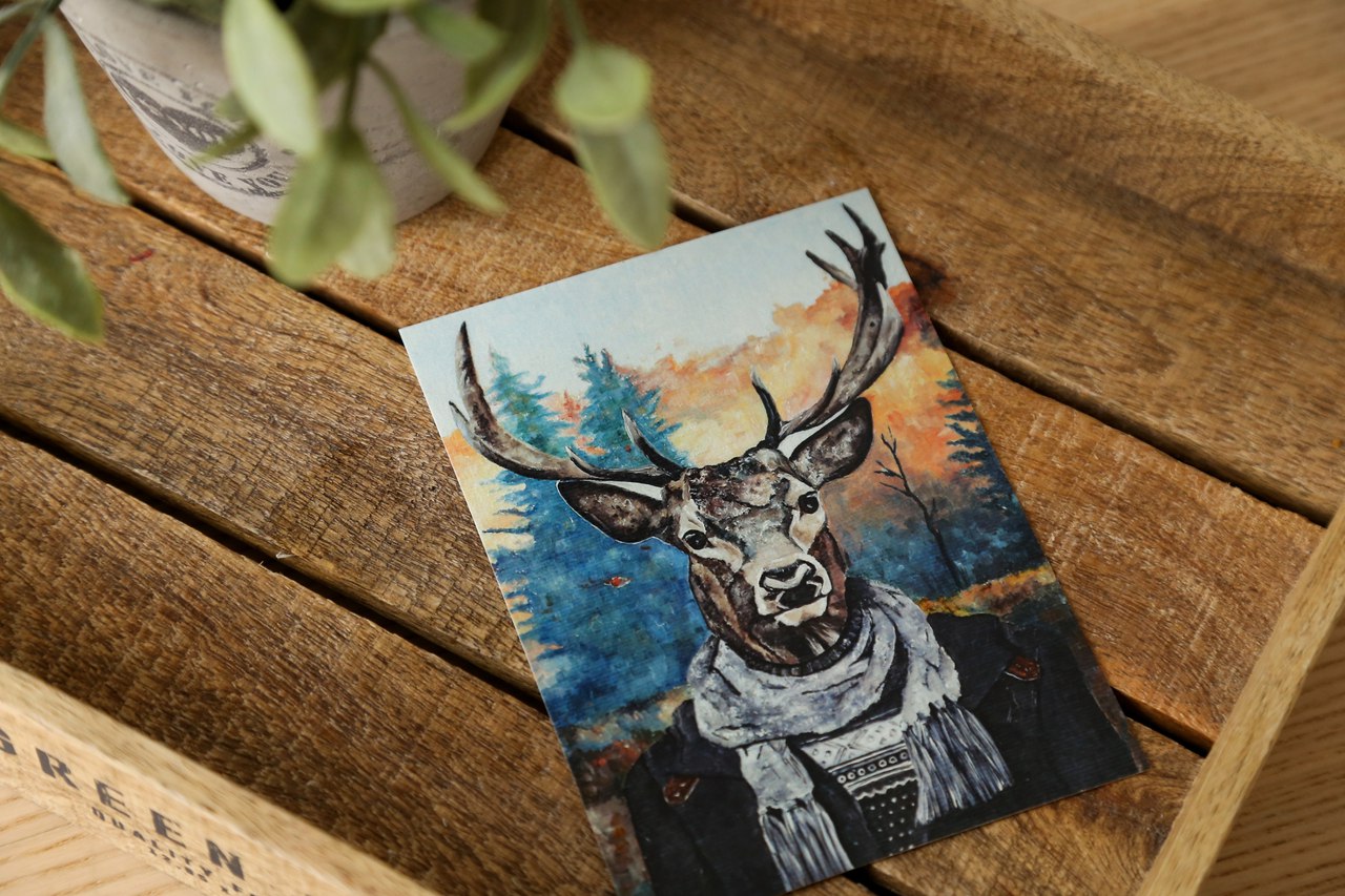 Посткроссеры подсели на открытки уральской художницы: почтовые карточки разлетаются по всему миру - Фото 6