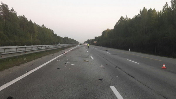 Людей разорвало на части. На Серовском тракте автоледи на Skoda сбила двух пешеходов. ФОТО, ВИДЕО - Фото 2