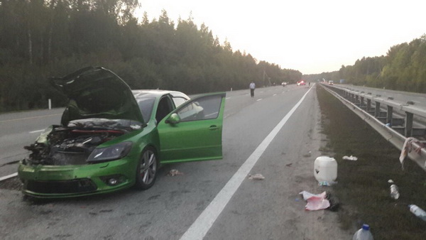 Людей разорвало на части. На Серовском тракте автоледи на Skoda сбила двух пешеходов. ФОТО, ВИДЕО - Фото 3