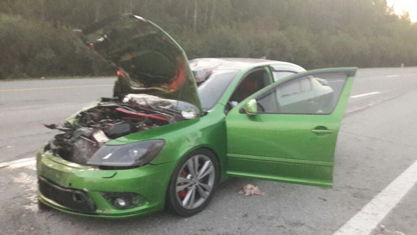 Людей разорвало на части. На Серовском тракте автоледи на Skoda сбила двух пешеходов. ФОТО, ВИДЕО - Фото 4