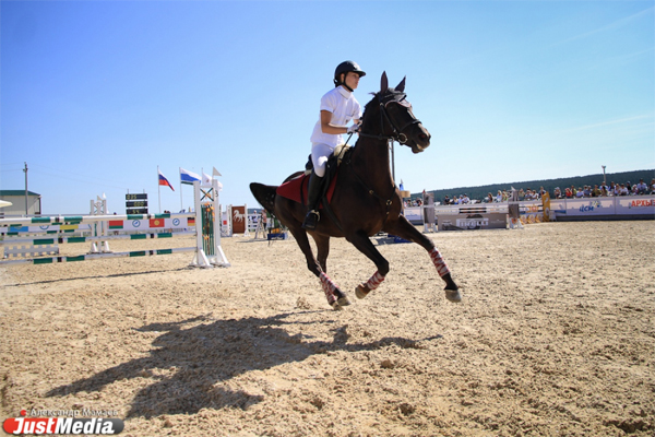 Областной кубок губернатора по конкуру в следующем году станет «трехзвездным» - Фото 3