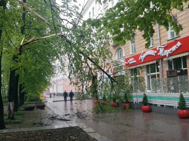 В центре Екатеринбурга дерево рухнуло на летнюю веранду кафе - Фото 2