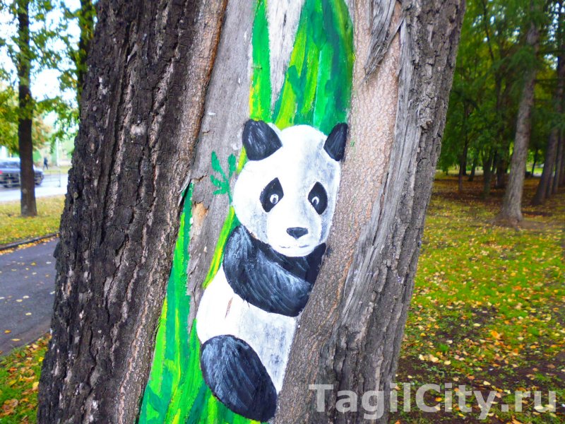 Жители Нижнего Тагила обнаружили в местном парке панду. ФОТО - Фото 2