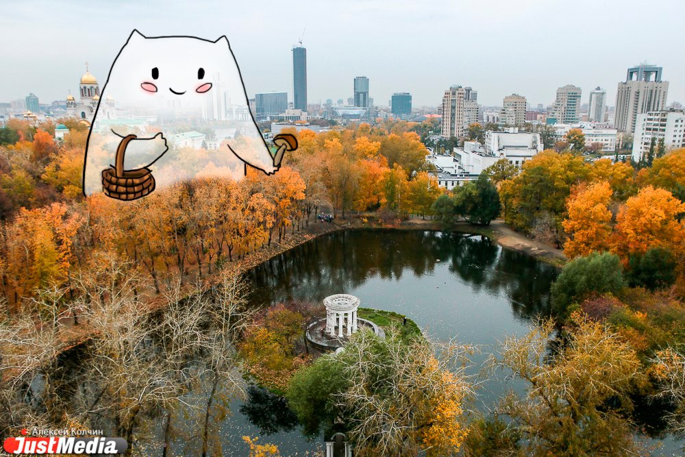 Рисованный кот из Академического покоряет Екатеринбург в компании JustMedia. ЭКСКЛЮЗИВНЫЕ ФОТО - Фото 18