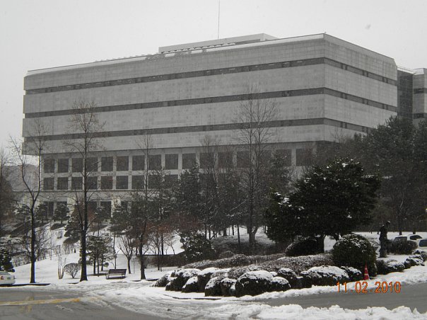 Корейский вуз — это место, где можно «накатить» с профессором и отдохнуть от школы. Как жилось уральским студентам в стране утренней свежести. СПЕЦПРОЕКТ - Фото 15