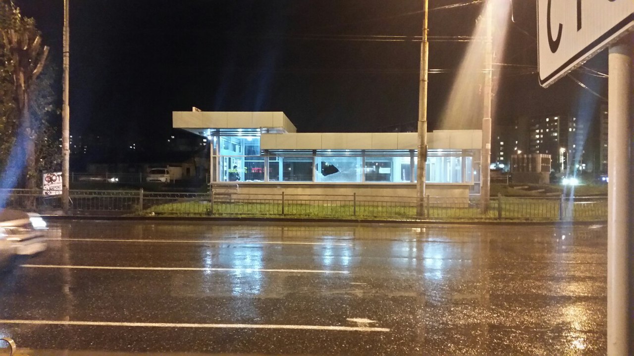 Хулиганы разбили стекла на станции метро «Ботаническая» - Фото 3