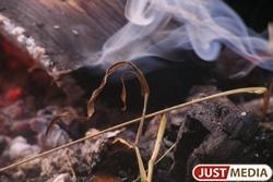 В пяти муниципальных образованиях Свердловской области введен режим чрезвычайной ситуации - Фото 1