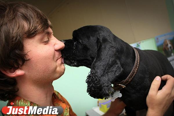 Выставка питомцев, которых можно забрать домой, пройдет в Екатеринбурге - Фото 1