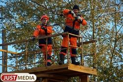 В городах области восстанавливают электроснабжение после грозы - Фото 1