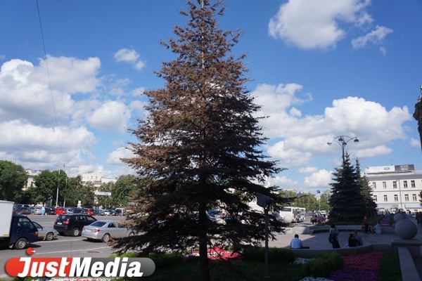 Аномальная жара в Екатеринбурге