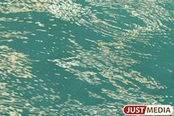 Предприниматели из Алапаевска открыли сауну и бассейн в подвале жилого дома - Фото 1