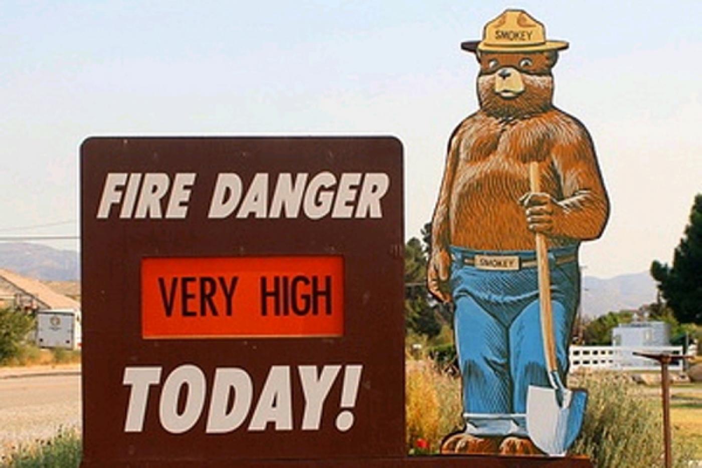 В Екатеринбурге отметят день медвежонка Дымняшки - Фото 1