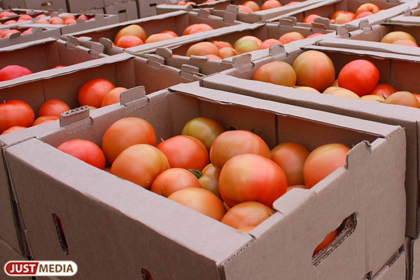 Власти Екатеринбурга бросят на «расправу» с нелегальными киосками несколько миллионов рублей - Фото 1