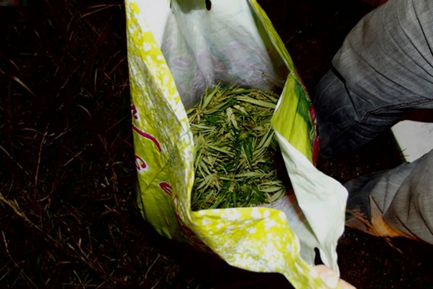 В Камышловском районе готовили наркотик на берегу реки - Фото 1