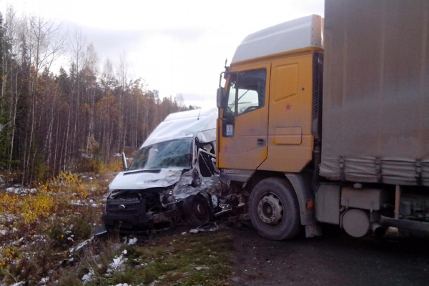 На трассе Екатеринбург—Серов в ДТП попала детская баскетбольная команда. Ранены пять человек - Фото 1