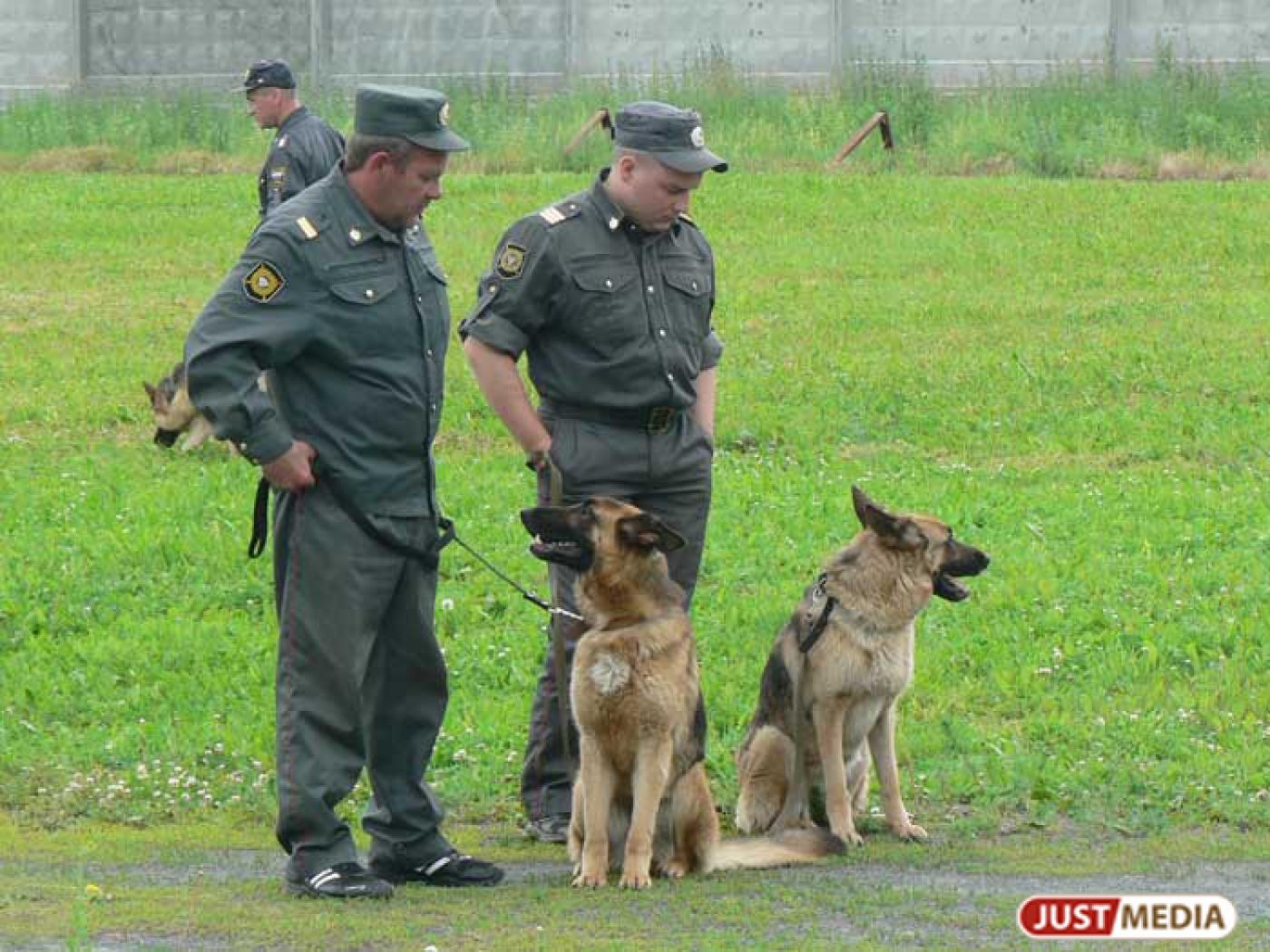 В Екатеринбурге полиция эвакуирует пассажиров трех вокзалов: неизвестный сообщил о бомбе - Фото 1