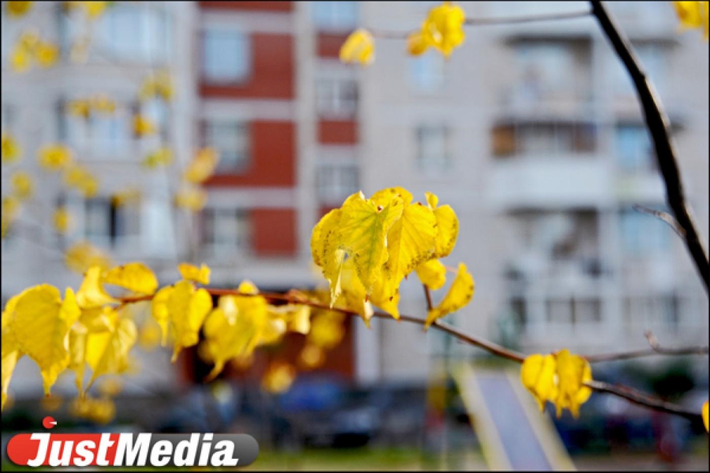 Никому не нужны! Жильцам дома на Соболева в Екатеринбурге придется самим заплатить за ремонт сетей - Фото 1