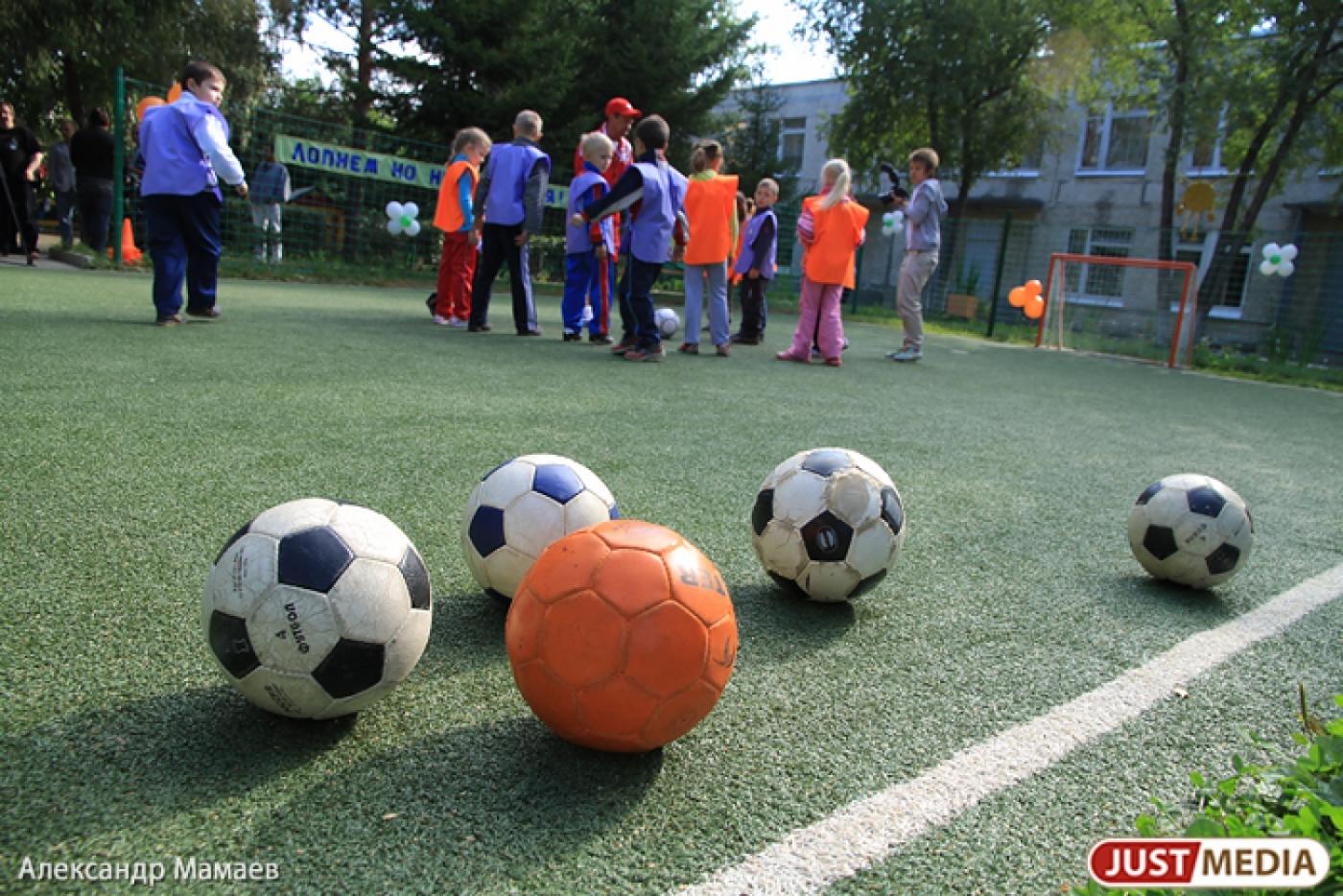 Города-спутники Екатеринбурга поборются за тренировочные базы мундиаля - Фото 1
